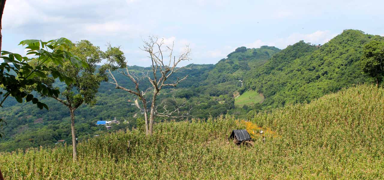 Fotografía 02 de Acatitla, Chicontepec, Veracruz